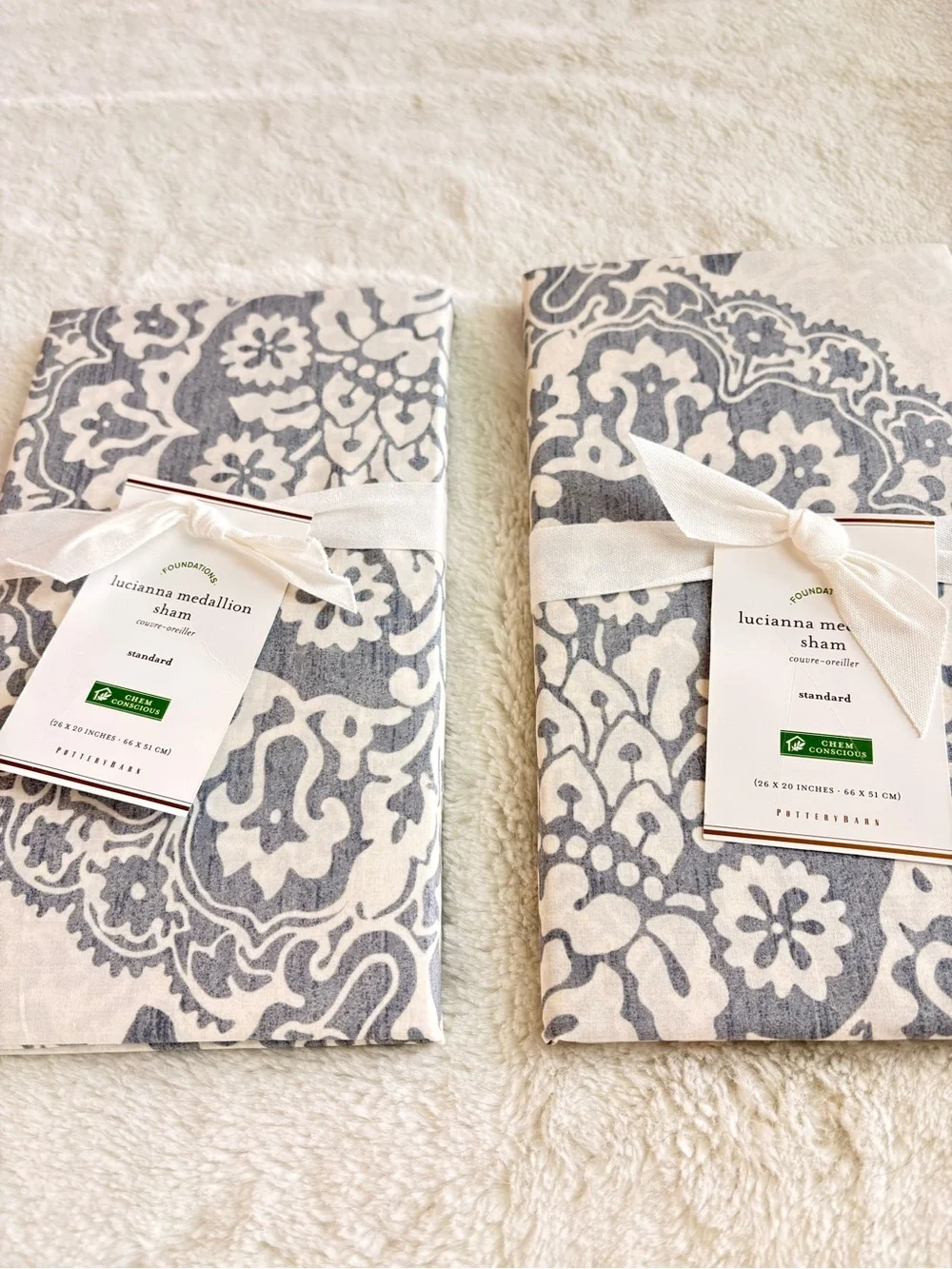 Pottery Barn Luciana Medallion Sham (x2) NWT
